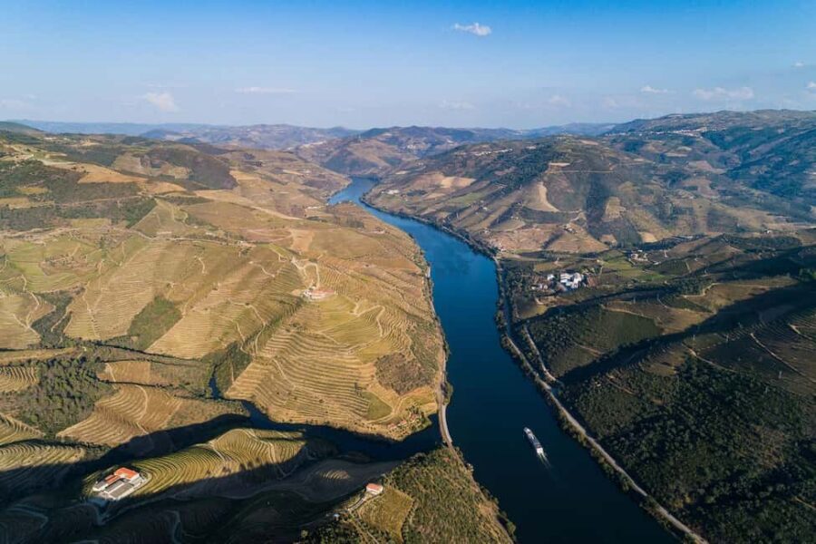 From Porto: Wine Tasting with Lunch at a Quinta, Cruise, and Train Ride - Key highlights you’ll actually care about