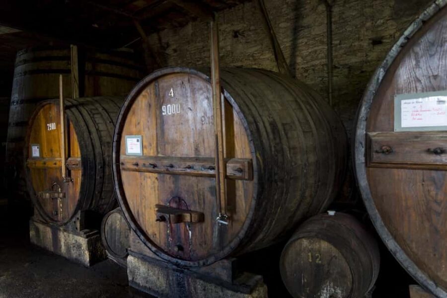 From Porto: Wine Tasting with Lunch at a Quinta, Cruise, and Train Ride - The estate tasting: 5 wines, plus olive oil and jam