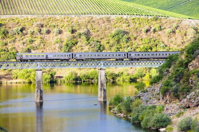 From Porto: Wine Tasting with Lunch at a Quinta, Cruise, and Train Ride - Régua to Pinhão: the 2-hour cruise on the Douro