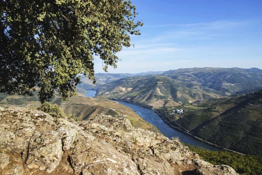 From Porto: Wine Tasting with Lunch at a Quinta, Cruise, and Train Ride - Should you book it or skip it?