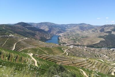 Full-Day Porto and Douro Valley Private Wine Tour with Lunch - A Private Douro Day from Porto: What You’re Really Buying