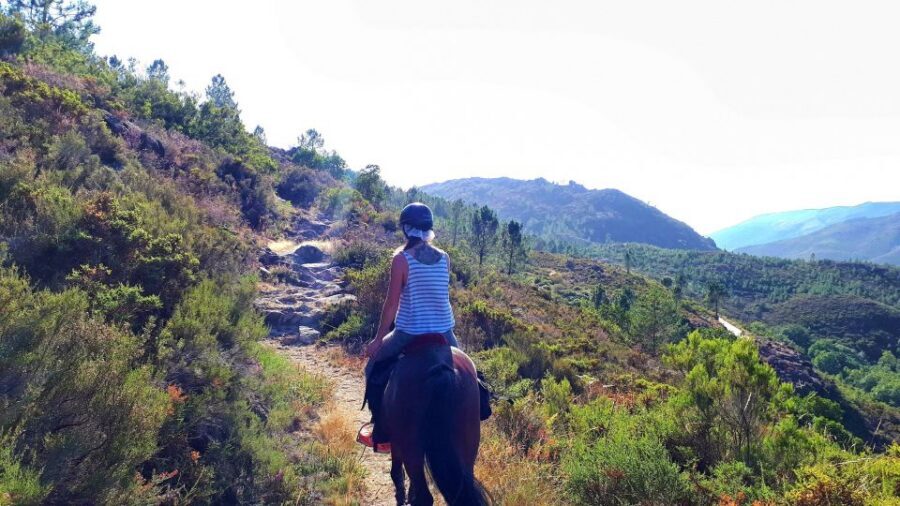 Gerês Braga: Horseback Ride in Peneda Gerês National Park - Who this ride suits best (and who should skip it)