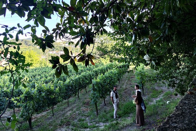 Guimarães & Braga Port Private Tour with Lunch and Green Wine - Lunch in Guimarães: the included pause you’ll appreciate