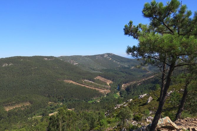 Half-day Hike & Picnic with Dog Love in Porto's Mountains - The picnic lunch: why it’s more than included food