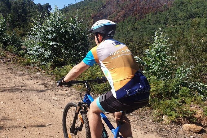 Half day Mountain Bike Tour in Porto - Valongo above Porto: why this ride feels special