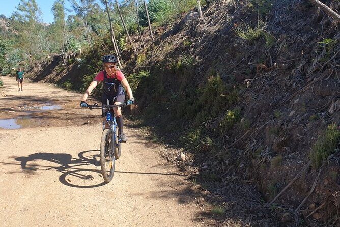 Half day Mountain Bike Tour in Porto - Fuel stops: the cafe break and the ride-ending restaurant