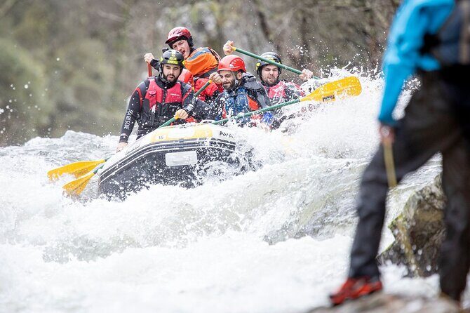 Half-Day Rafting on the Paiva River in Arouca - Price and value: what $81.11 includes (and what it doesn’t)