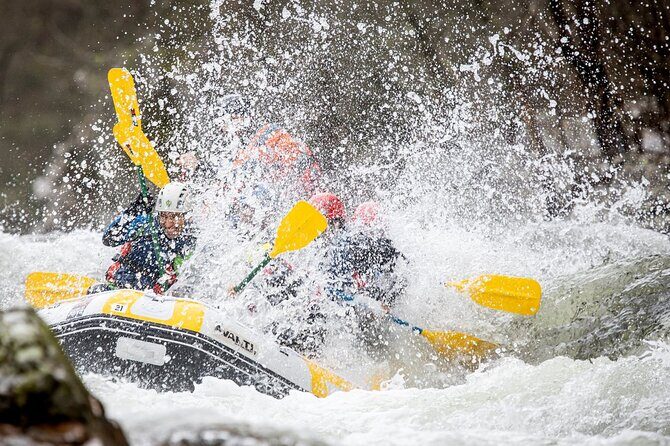 Half-Day Rafting on the Paiva River in Arouca - Who should book this Paiva River rafting trip?
