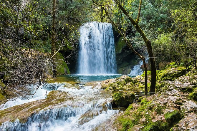 Hiking in Conimbriga and Mouros River Valley - Transfers and picnic upgrades: nice if you want it to feel complete