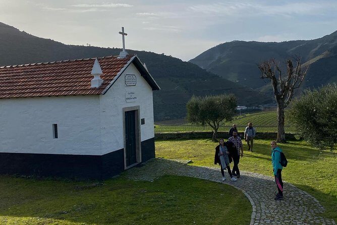 HIKING in the Douro Valley - Returning to Porto via the National 222: scenic road time