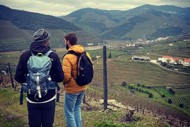 HIKING in the Douro Valley - The optional Douro River boat cruise: worth it, but plan for crowds