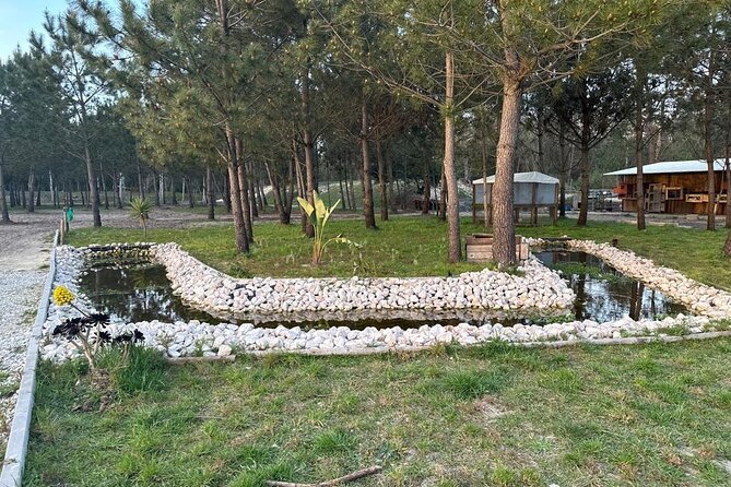 Horse Riding in Aveiro - Ílhavo - What happens during the ride: walk, trot, gallop, then back