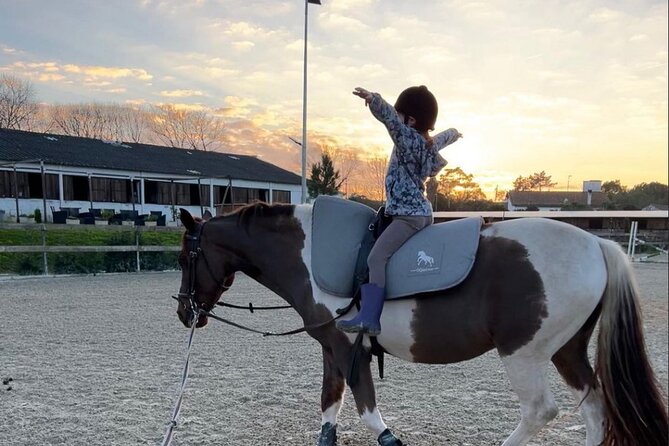 Horse Riding in Aveiro - Ílhavo - The natural setting: birds, plants, and a big horse nearby