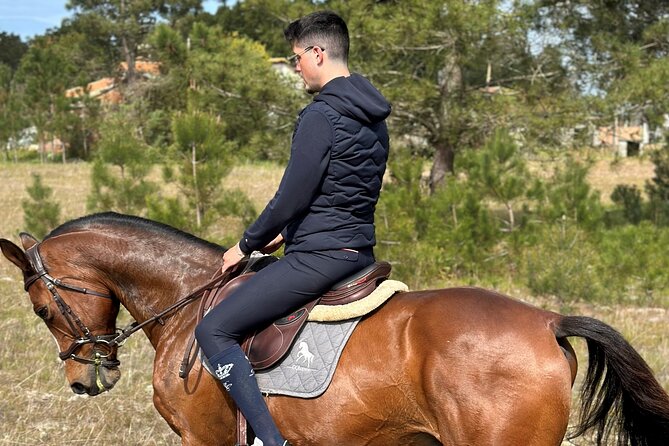 Horse Riding in the Countryside - Key Highlights You’ll Feel Right Away