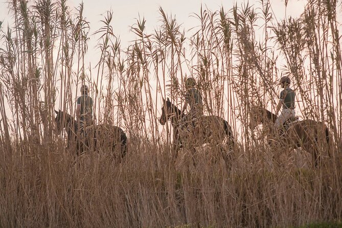 Horse Riding in the Countryside - The Main Event: A 6 km Countryside Ride With Bird-Watching Quiet