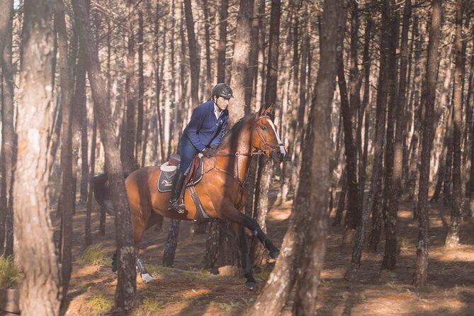 Horse Riding in the Countryside - Timing and Duration: Why 1 Hour Works