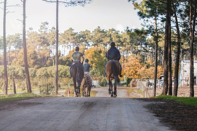 Horse Riding in the Countryside - Before You Mount: The Horses and the Stables Moment