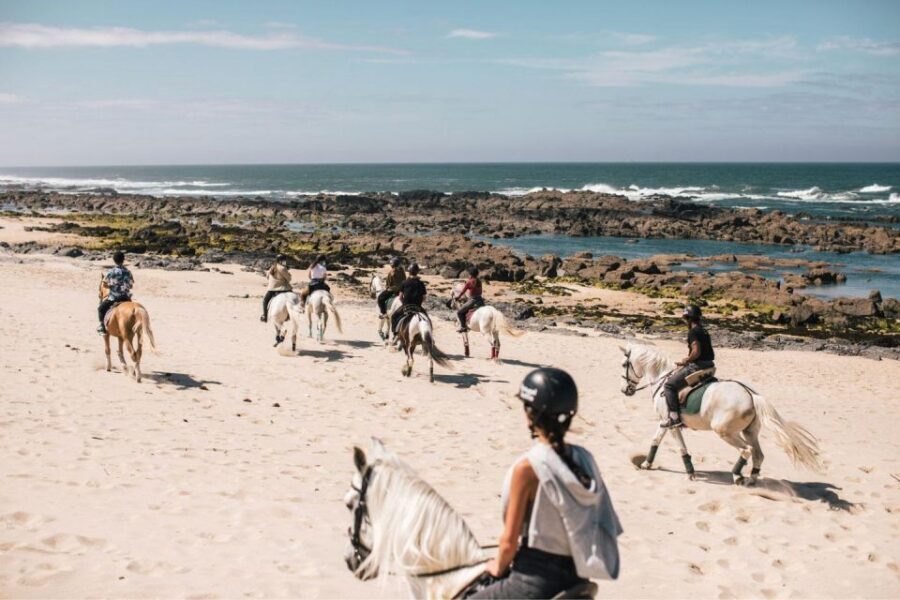 Horseback Riding Tour - Small-group format: why 8 riders changes everything