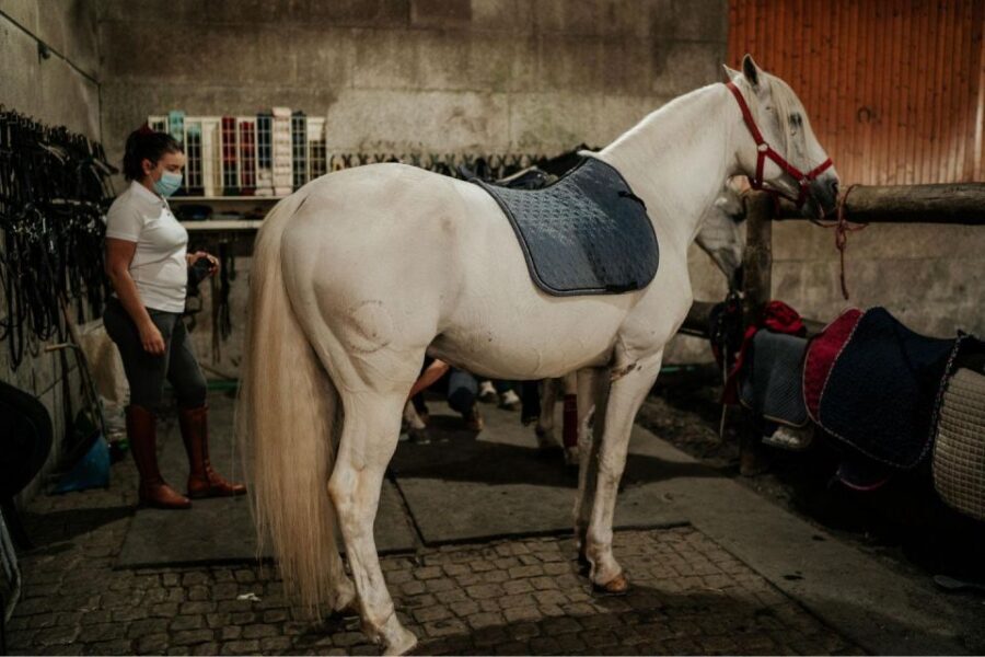 Horseback Riding Tour - Price and value: is $127 per person worth it?