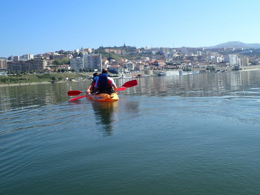 Kayak - Douro Valley - From the first paddle to the bridges: what the route is really about