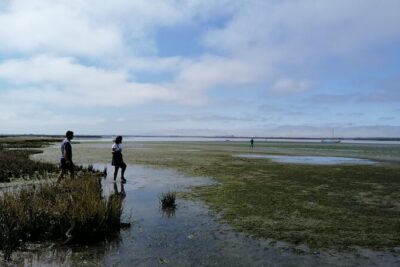 Moliceiro boat tour through the Ria de Aveiro! - Meeting in Murtosa and Settling In for the 1.5-Hour Ride