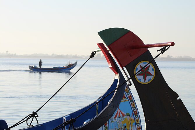 Moliceiro boat trip, with experience in bivalves harvesting - Guides that keep things understandable in English