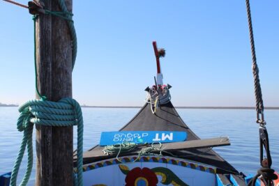 Moliceiro boat trip, with experience in bivalves harvesting - The bivalve harvesting experience: what you learn and what to wear