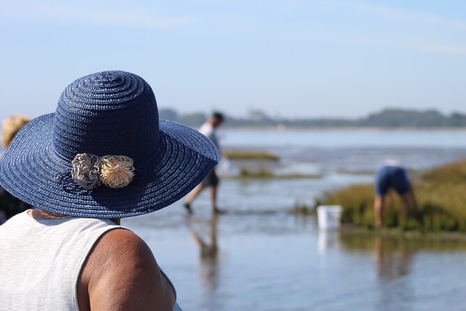 Moliceiro boat trip, with experience in bivalves harvesting - Price and value: why about $21.88 can be a smart buy
