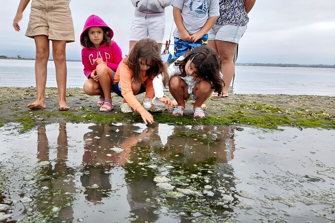 Moliceiro boat trip, with experience in bivalves harvesting - Should you book this Moliceiro bivalve trip?