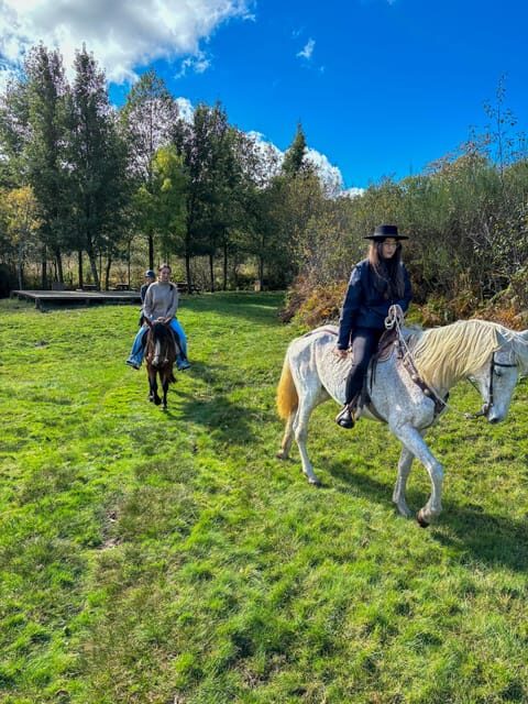 Mountain Horseback Ride & Lunch - Getting Picked Up Around the Douro: Lamego, Resende, Pinhão, and Peso da Régua