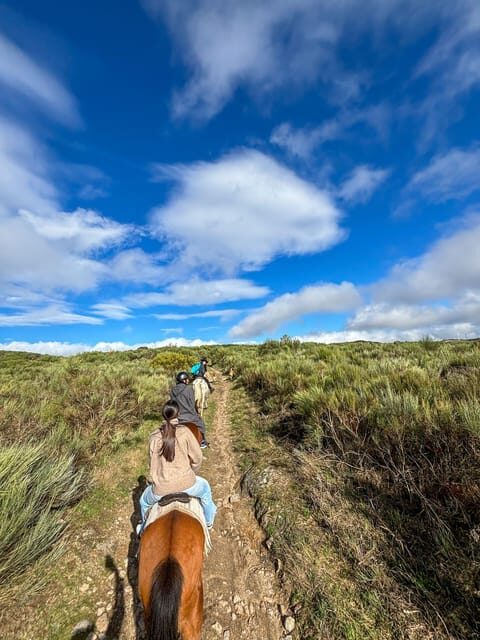 Mountain Horseback Ride & Lunch - Forest Lunch and Brunch: Farm-to-Table Flavor in Real Countryside Air