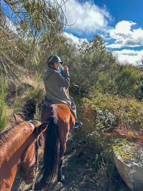 Mountain Horseback Ride & Lunch - Wine Tasting for 100 Minutes After the Riding Comes Down