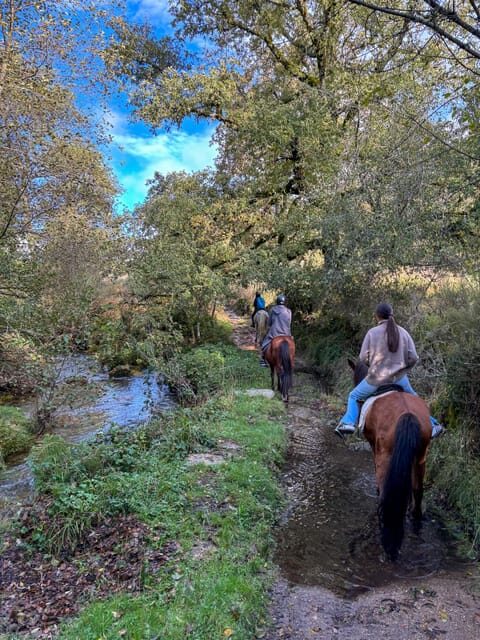 Mountain Horseback Ride & Lunch - Rain, Rhythm, and Group Pace: What Can Go Right (and Wrong)