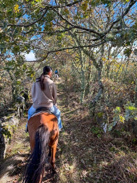 Mountain Horseback Ride & Lunch - Who This Tour Fits Best (and Who Might Prefer Another Day)