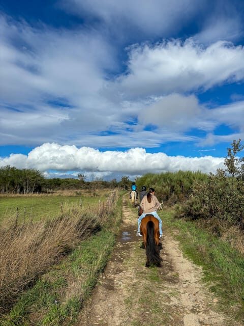 Mountain Horseback Ride & Lunch - Should You Book Mountain Horseback Ride & Lunch with BAMBUTI?