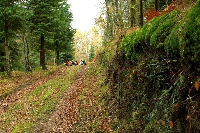 Nozzle Horn Protected Landscape Area - A small-group day in the hills of Braga