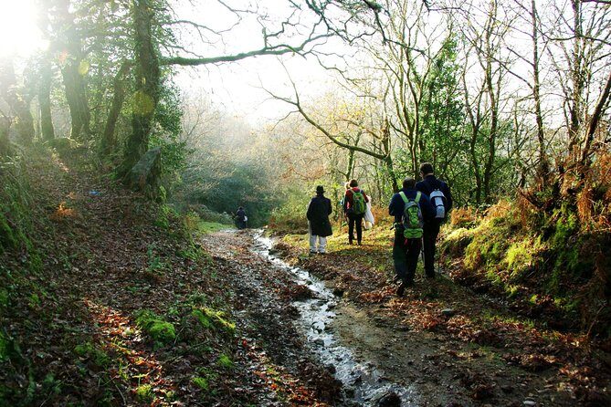 Nozzle Horn Protected Landscape Area - Corno de Bico hike: protected nature with real variety