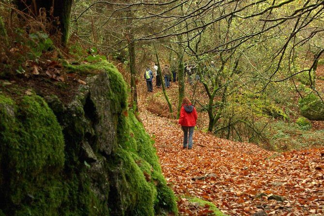 Nozzle Horn Protected Landscape Area - Paredes de Coura: one hour to taste village life