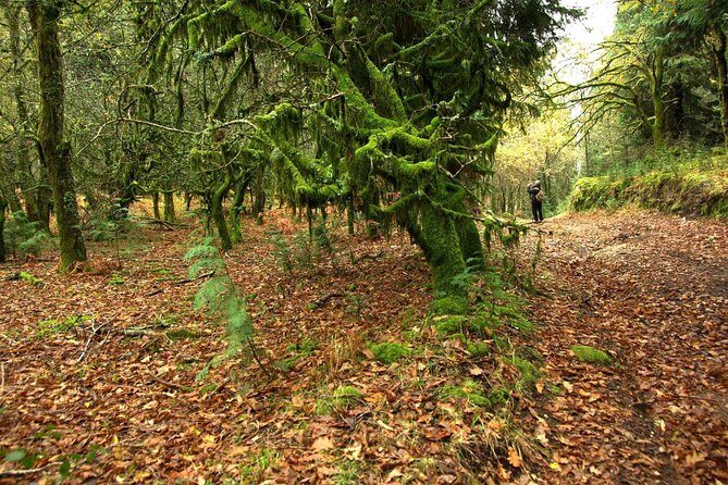 Nozzle Horn Protected Landscape Area - Getting back to Porto: the afternoon wrap-up