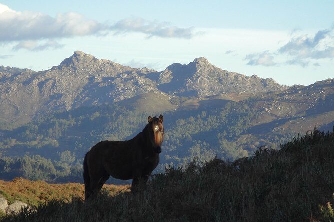 Peneda-Gerês National Park - A Time Travel Through The Mountains - - Medieval military architecture and border heritage: what frontiers look like