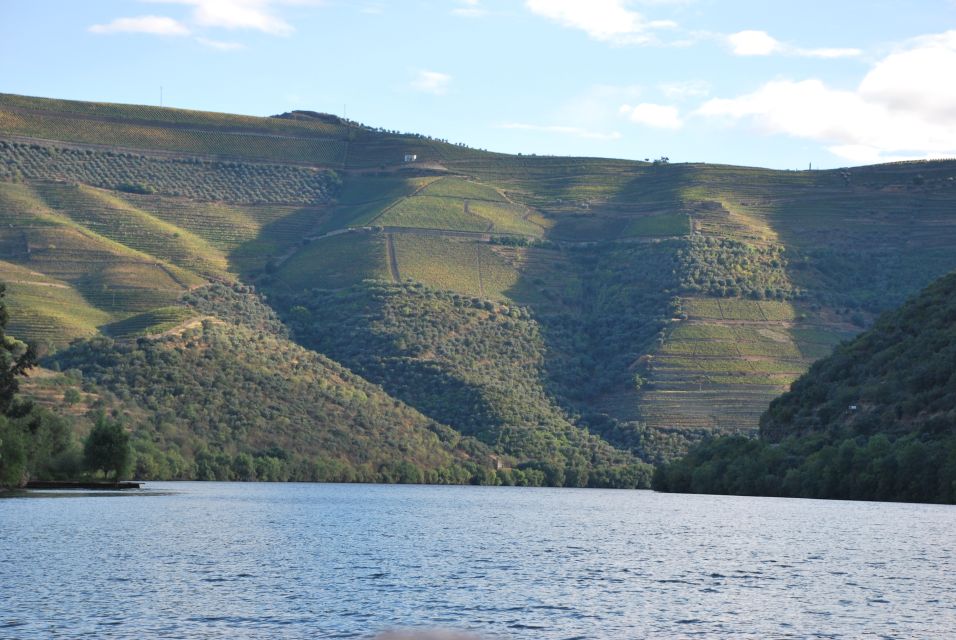 Pinhão: Private Rabelo Boat Tour along the River Douro - Cruising past terraced vineyards toward the Roncão area
