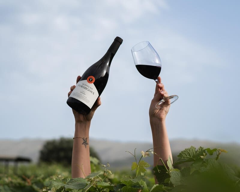 Pinhão: Quinta da Formigosa Vineyard Tour and Wine Tasting - A boutique Douro estate with a real sense of place