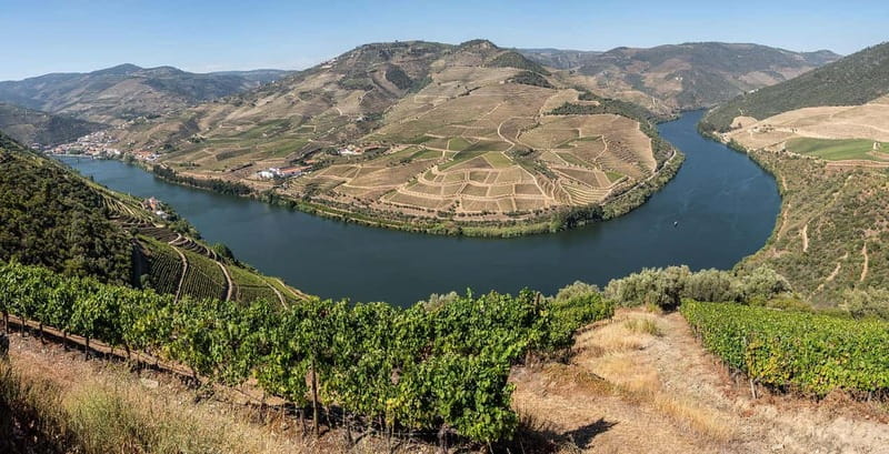 Pinhão: Rabelo Boat Cruise with a Port Tasting at a Winery - The Port tasting: four wines, one clear theme