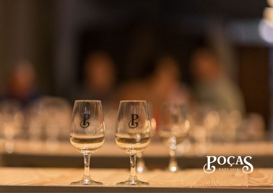 Poças: Guided Tour & Port Wine Tasting with Pastel de Nata - What you actually learn: Port styles and food pairing you can use