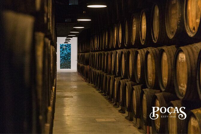 Poças Guided Visit and Port Wine Tasting with Pastel de Nata - Step-by-step: what happens in the cellar tour