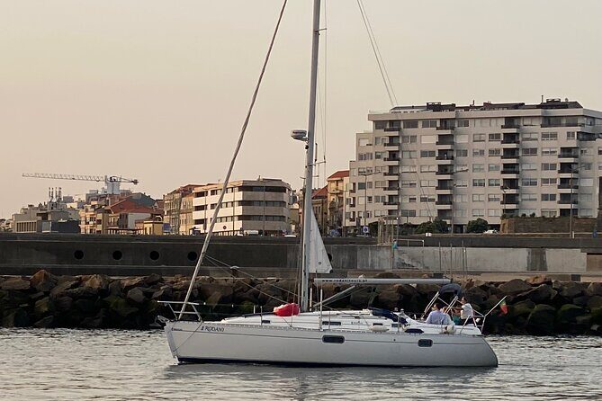 Port : Douro River Cruise (2 h) – Wine & Scenic Views - Where You Board: Douro Marina in Villa Nova de Gaia (Afurada)