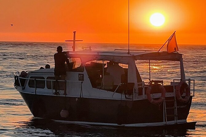 Port : private cruiser 6 Bridges and port wine tasting/Sunset - Should you book this? My quick verdict