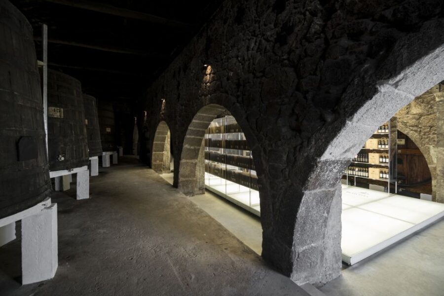 Port Wine Experience - Inside the Working Cellar: Barrels from 500 to 40,000 Liters