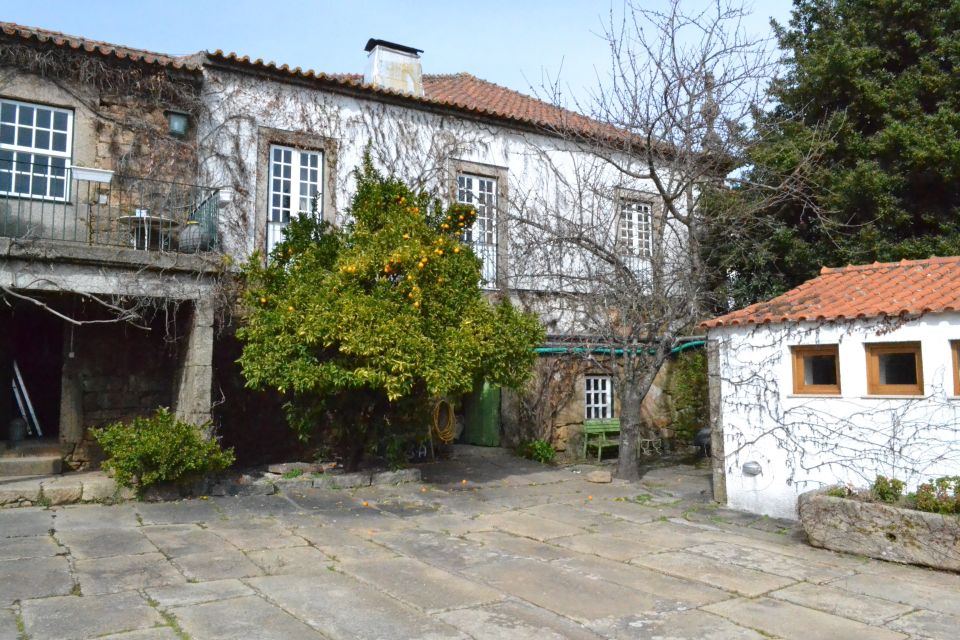 Porto: 3 Douro Valley Vineyards Tour with Lunch - Why Three Douro Wineries Works Better Than One