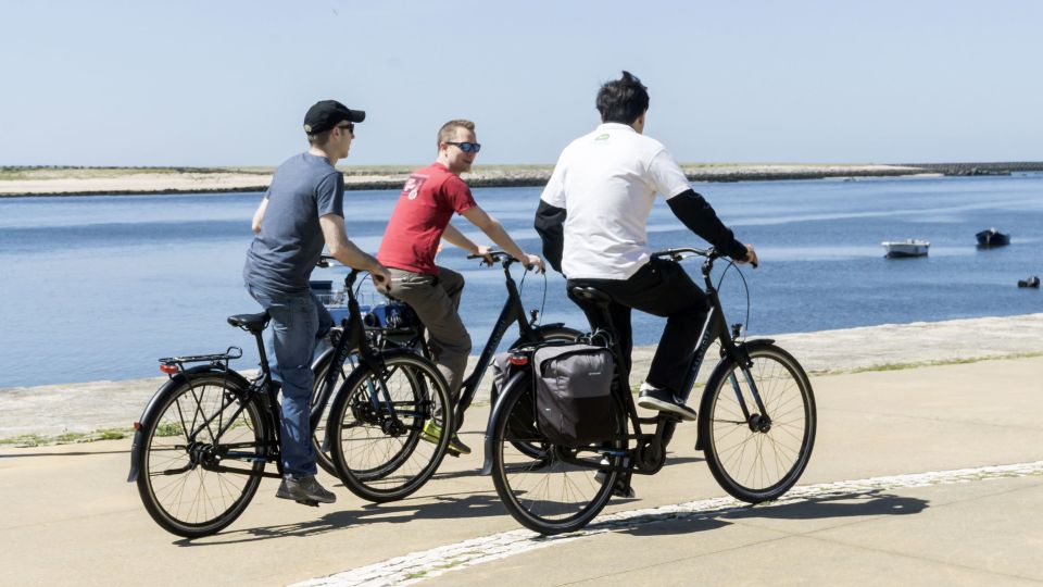 Porto: 3-Hour Bike Tour - Calém Garden birdlife and the Douro Estuary Natural Reserve pause